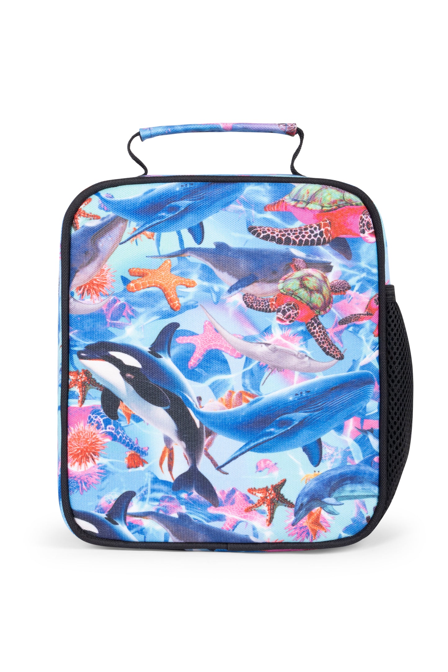 Hype Kids Blue Sea Life Lunch Box